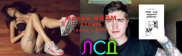 mdpv Вяземский