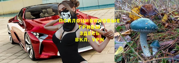 дживик Горно-Алтайск