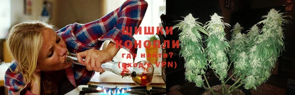 mdpv Вяземский