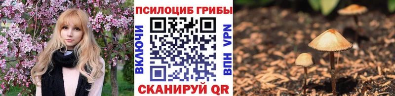 продажа наркотиков  Ермолино  Галлюциногенные грибы Cubensis 