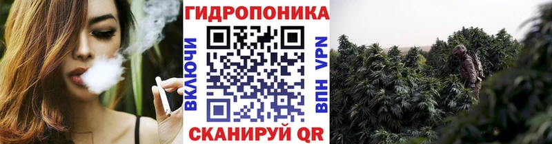 купить наркоту  Ермолино  Бошки марихуана марихуана 